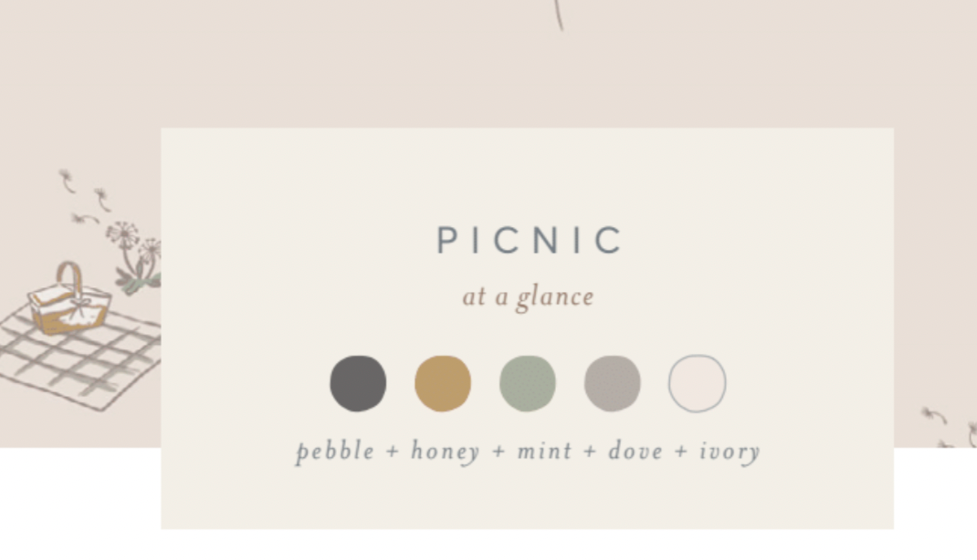 Colored Organics - Organic Baby & Kids Everest Tee - Picnic in the Park