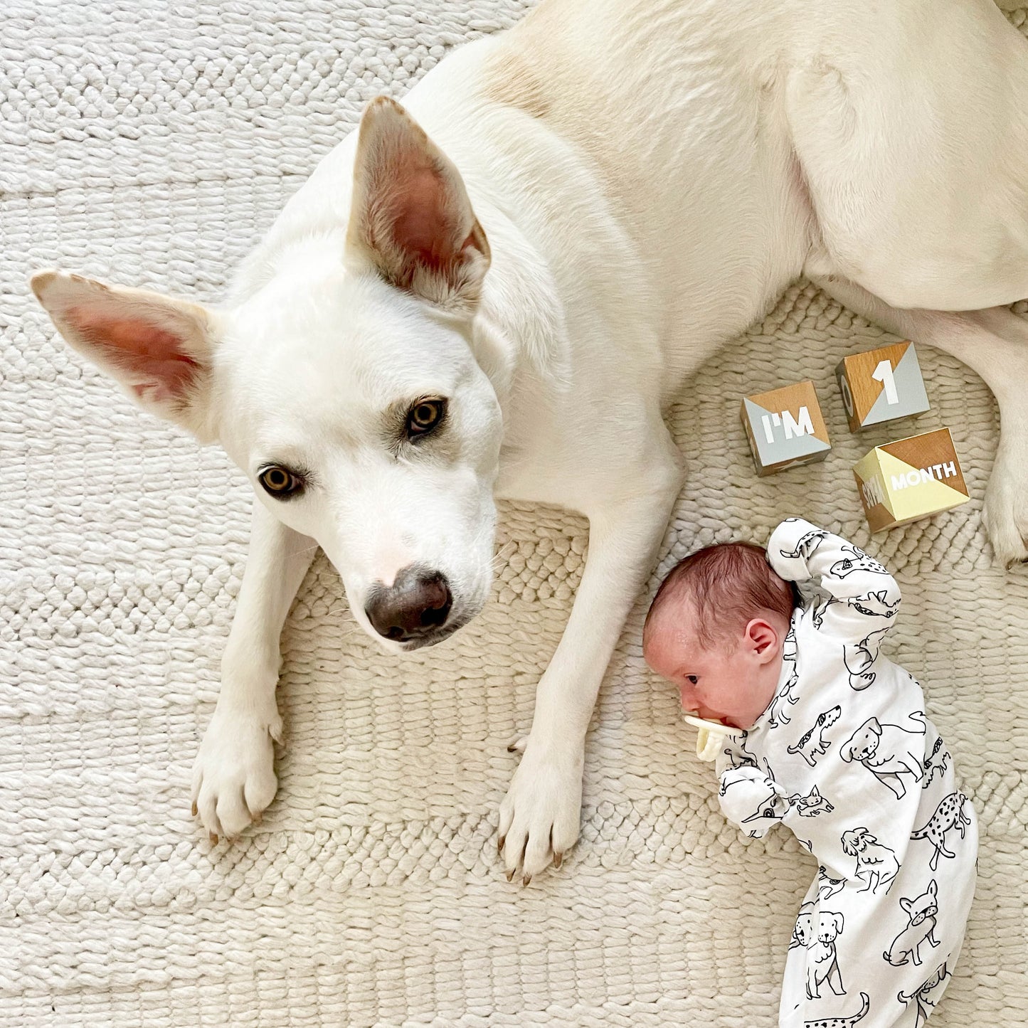 Puppy Dog Print Baby Gown
