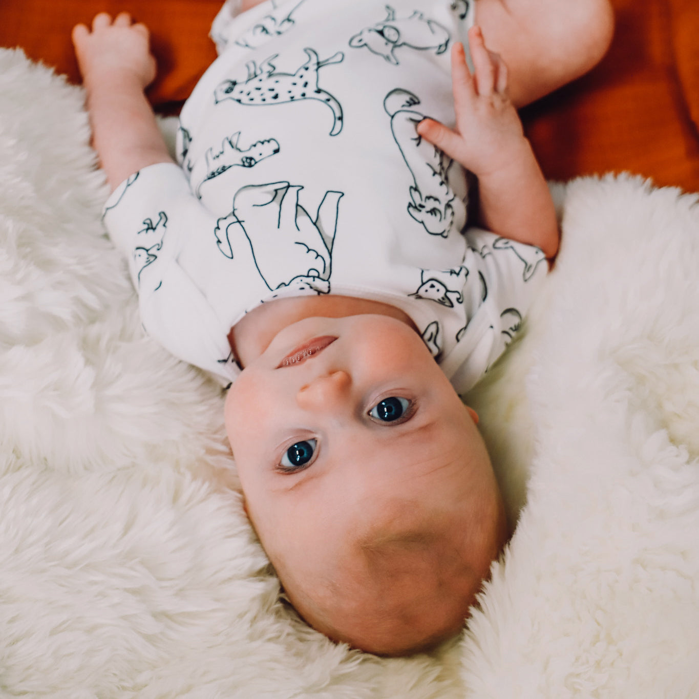 Short Sleeve Puppy Dog Print Bodysuit